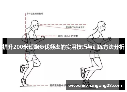 提升200米短跑步伐频率的实用技巧与训练方法分析