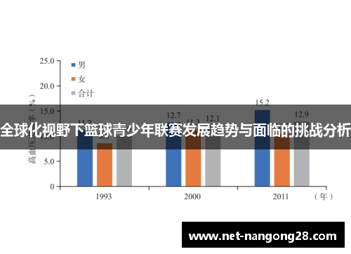 全球化视野下篮球青少年联赛发展趋势与面临的挑战分析