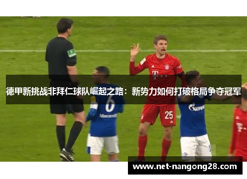 德甲新挑战非拜仁球队崛起之路：新势力如何打破格局争夺冠军