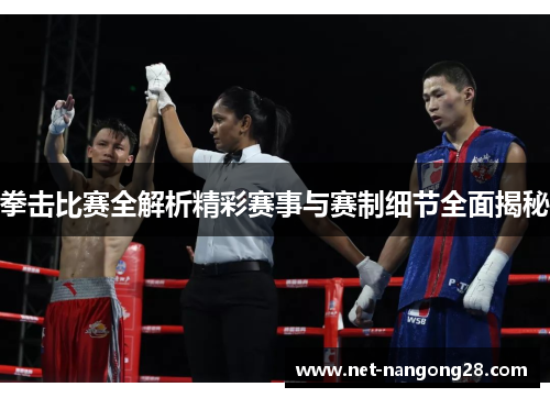 拳击比赛全解析精彩赛事与赛制细节全面揭秘