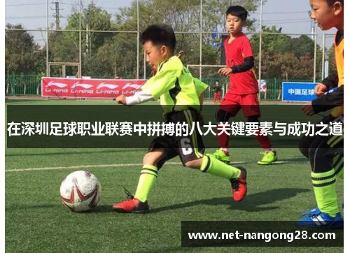 在深圳足球职业联赛中拼搏的八大关键要素与成功之道