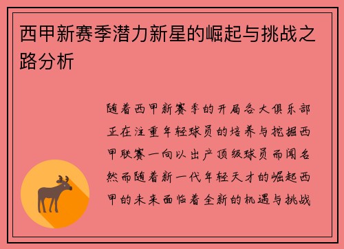 西甲新赛季潜力新星的崛起与挑战之路分析