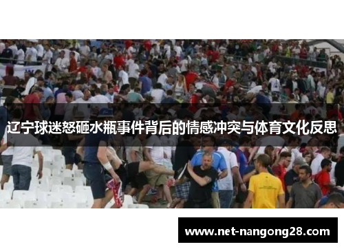 辽宁球迷怒砸水瓶事件背后的情感冲突与体育文化反思