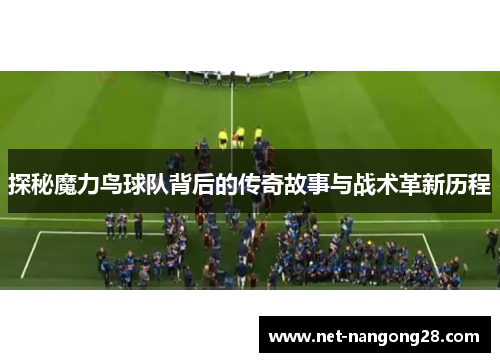探秘魔力鸟球队背后的传奇故事与战术革新历程
